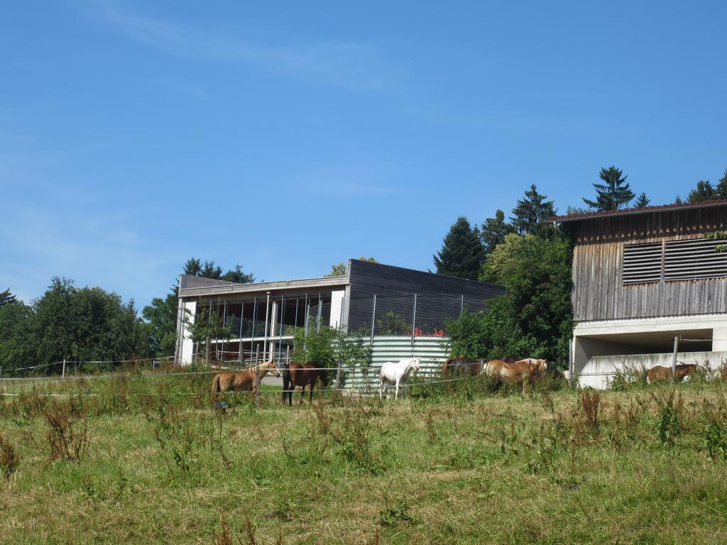 Ferienhaus Sandra Hörbranz Esterno foto